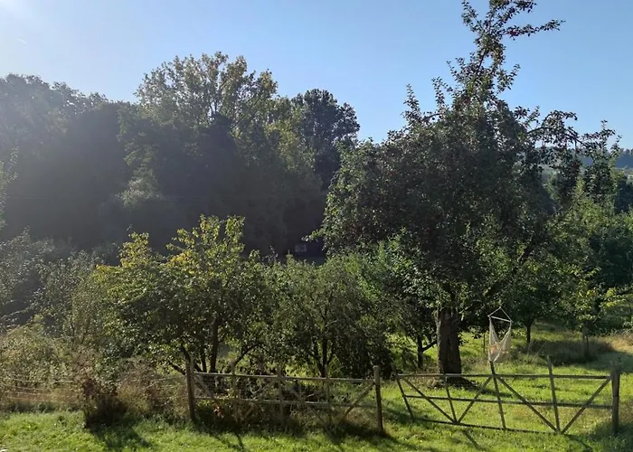 Laubushof - Idyllisches Im Grünen Mit Balkon Apartamento
